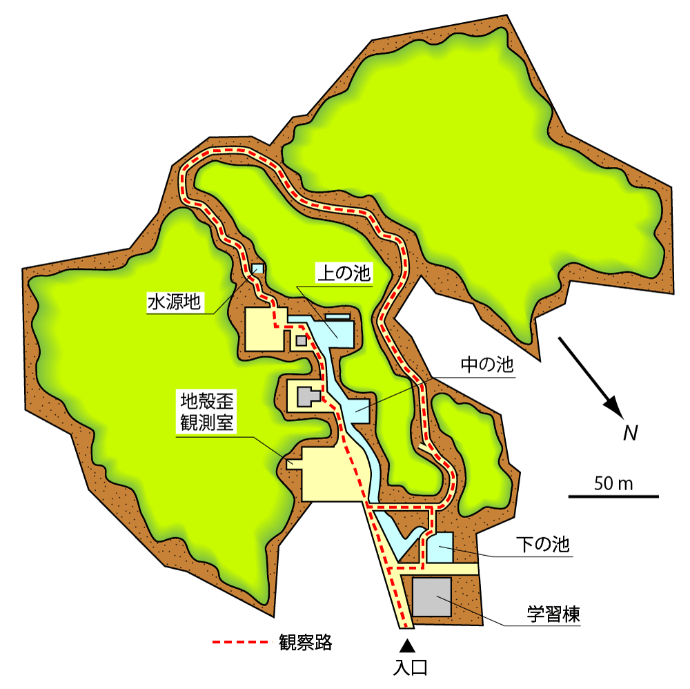 馬堀自然教育園-教育園