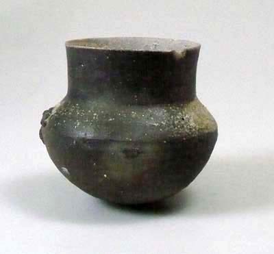 古墳時代後期の須恵器(すえき) | 横須賀市自然・人文博物館